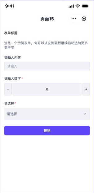 表单 独立页面实际效果